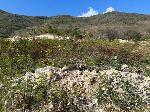 Fourteenth image of Hillside, Yallah, in Yallahs, St. Thomas, Jamaica - property is For Sale
