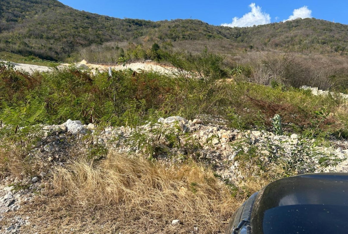 Fifteenth image of Hillside, Yallah, in Yallahs, St. Thomas, Jamaica - property is For Sale