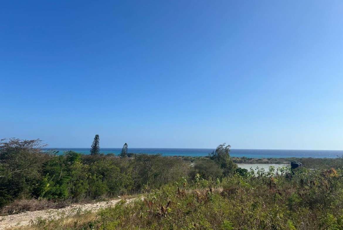 Sixteenth image of Hillside, Yallah, in Yallahs, St. Thomas, Jamaica - property is For Sale