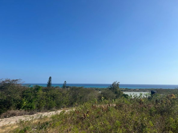 Sixteenth image of Hillside, Yallah, in Yallahs, St. Thomas, Jamaica - property is For Sale