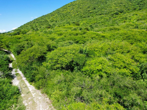 First image of Hillside, Yallah, in Yallahs, St. Thomas, Jamaica - property is For Sale