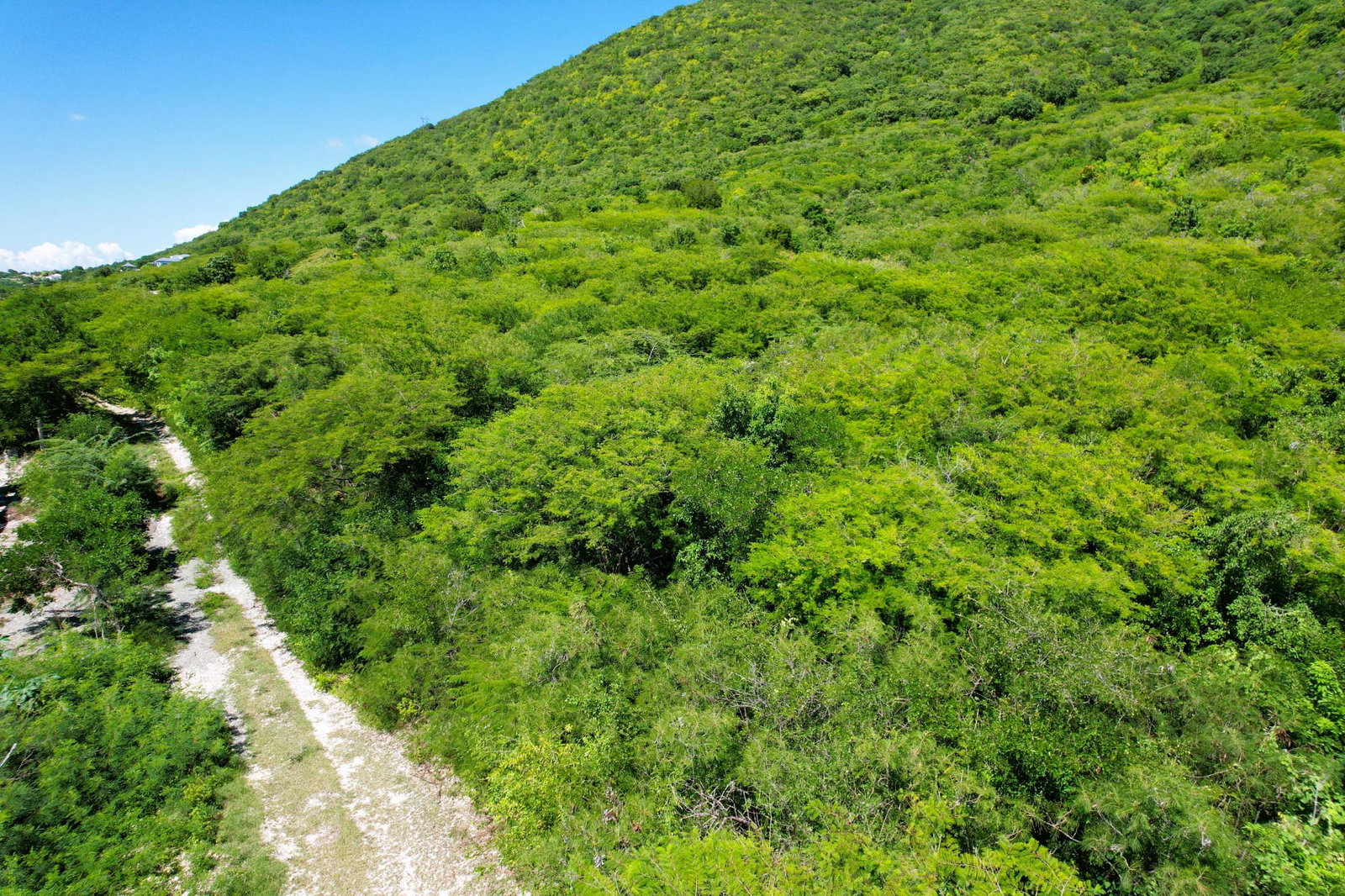 First image of Hillside, Yallah, in Yallahs, St. Thomas, Jamaica - property is For Sale