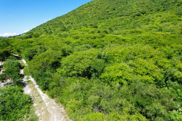 First image of Hillside, Yallah, in Yallahs, St. Thomas, Jamaica - property is For Sale