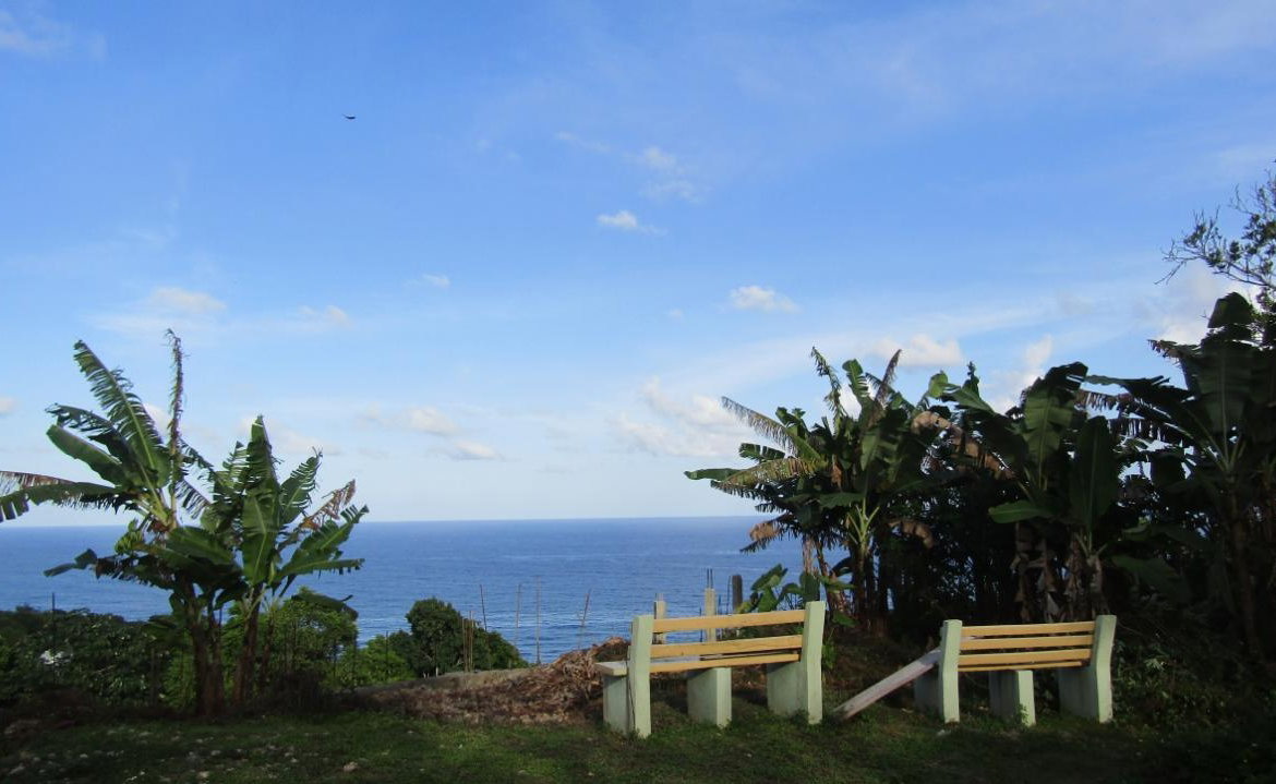 Twenty-Second image of Rose Hill in Long Bay, Portland, Jamaica - property is For Sale