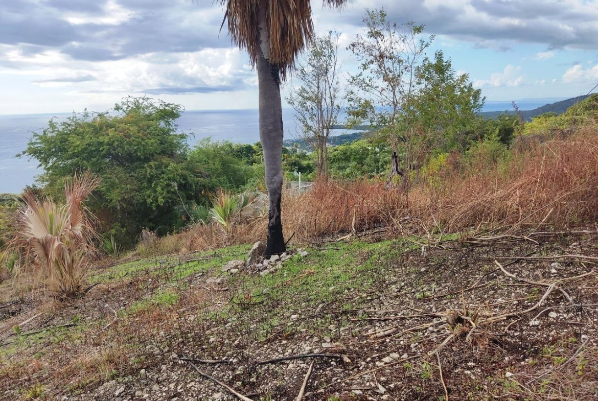 Second image of 33 Culloden by The Sea in White House WD, Westmoreland, Jamaica - property is For Sale