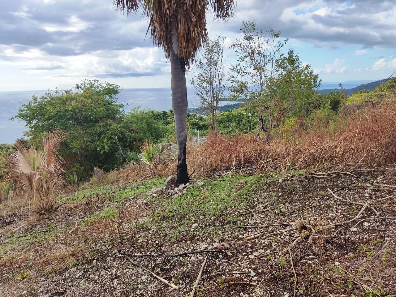 Second image of 33 Culloden by The Sea in White House WD, Westmoreland, Jamaica - property is For Sale