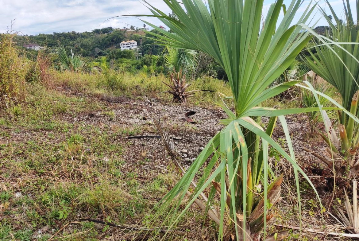 Third image of 33 Culloden by The Sea in White House WD, Westmoreland, Jamaica - property is For Sale