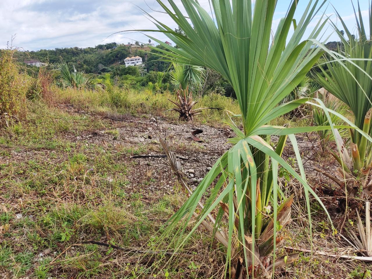 Third image of 33 Culloden by The Sea in White House WD, Westmoreland, Jamaica - property is For Sale