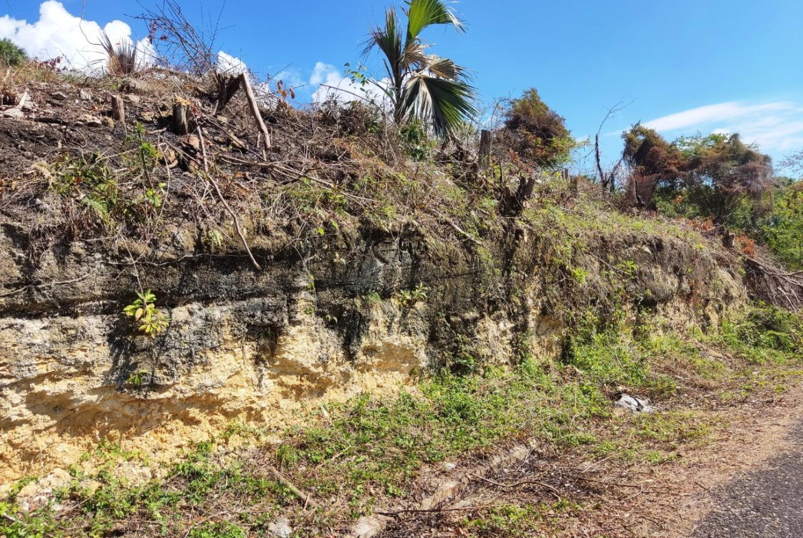 Fourth image of 33 Culloden by The Sea in White House WD, Westmoreland, Jamaica - property is For Sale