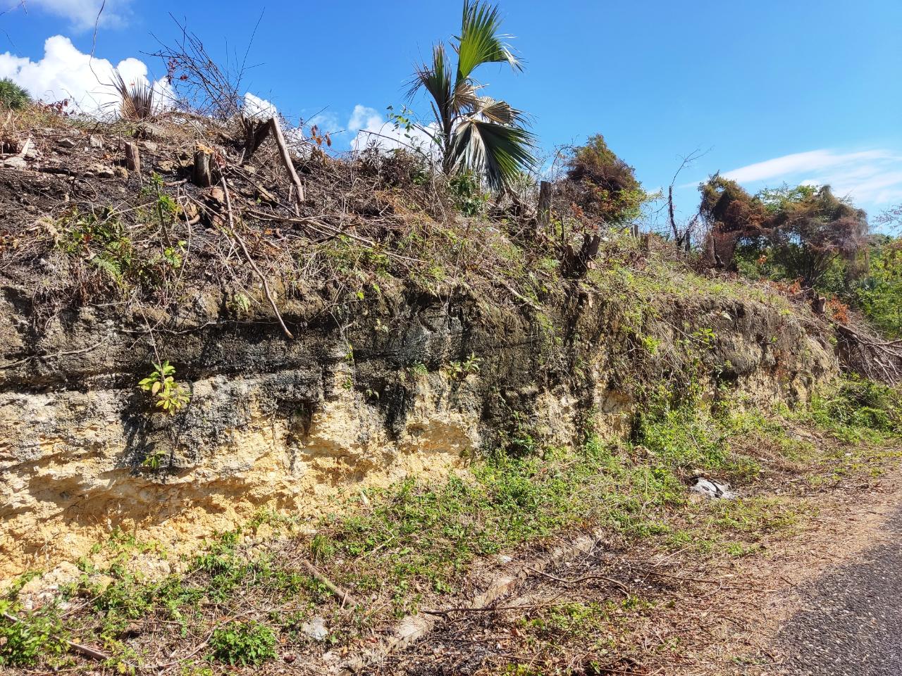 Fourth image of 33 Culloden by The Sea in White House WD, Westmoreland, Jamaica - property is For Sale