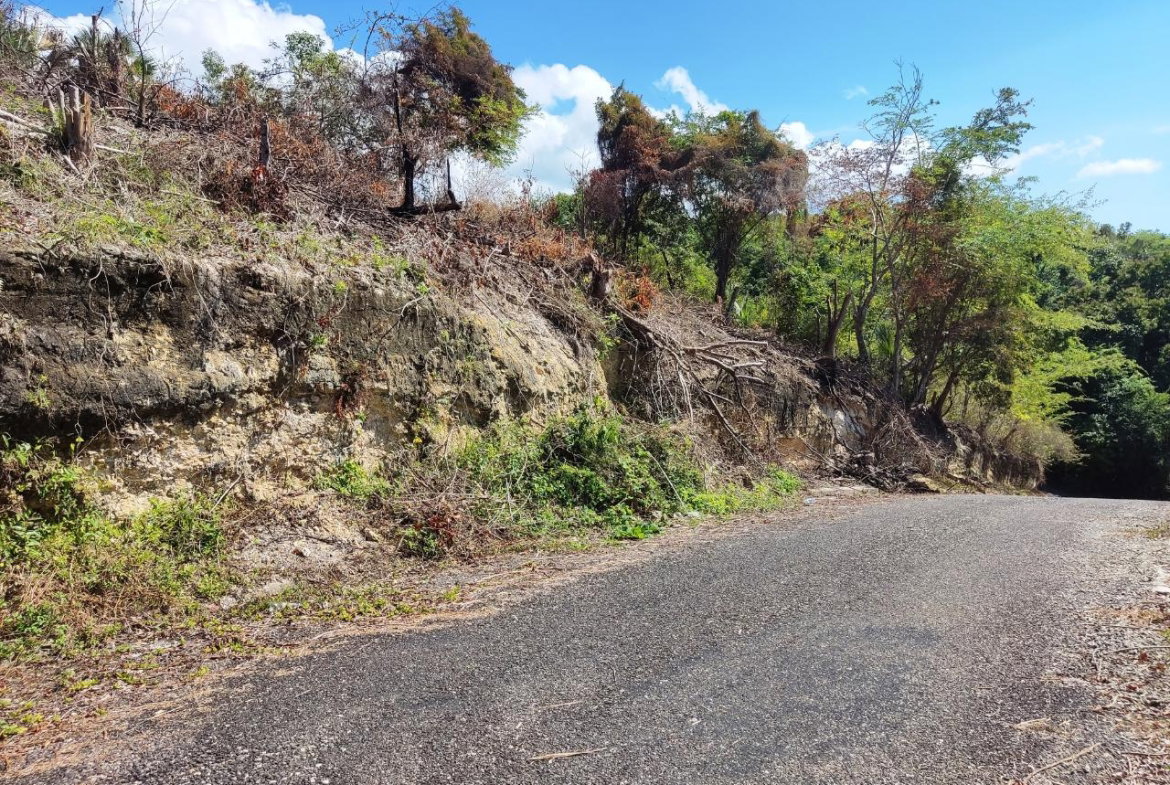Fifth image of 33 Culloden by The Sea in White House WD, Westmoreland, Jamaica - property is For Sale