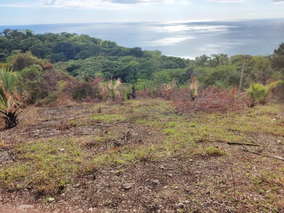 First image of 33 Culloden by The Sea in White House WD, Westmoreland, Jamaica - property is For Sale