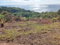 First image of 33 Culloden by The Sea in White House WD, Westmoreland, Jamaica - property is For Sale