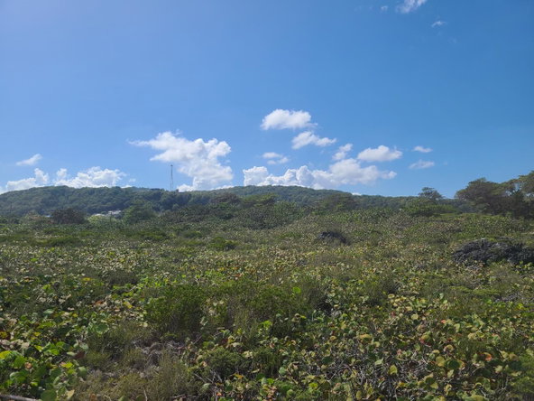 Second image of Lot 94 Belretiro, Galina in Galina, St. Mary, Jamaica - property is For Sale