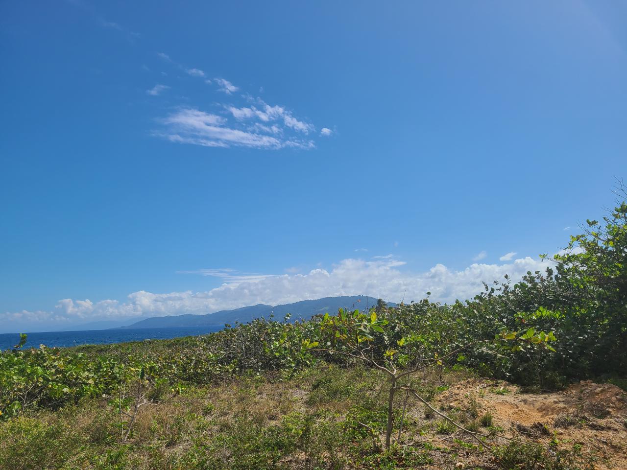 Eleventh image of Lot 94 Belretiro, Galina in Galina, St. Mary, Jamaica - property is For Sale