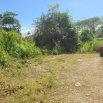 First image of Lot 94 Belretiro, Galina in Galina, St. Mary, Jamaica - property is For Sale