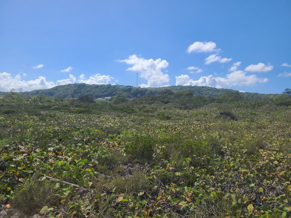 Third image of Lot 94 Belretiro, Galina in Galina, St. Mary, Jamaica - property is For Sale