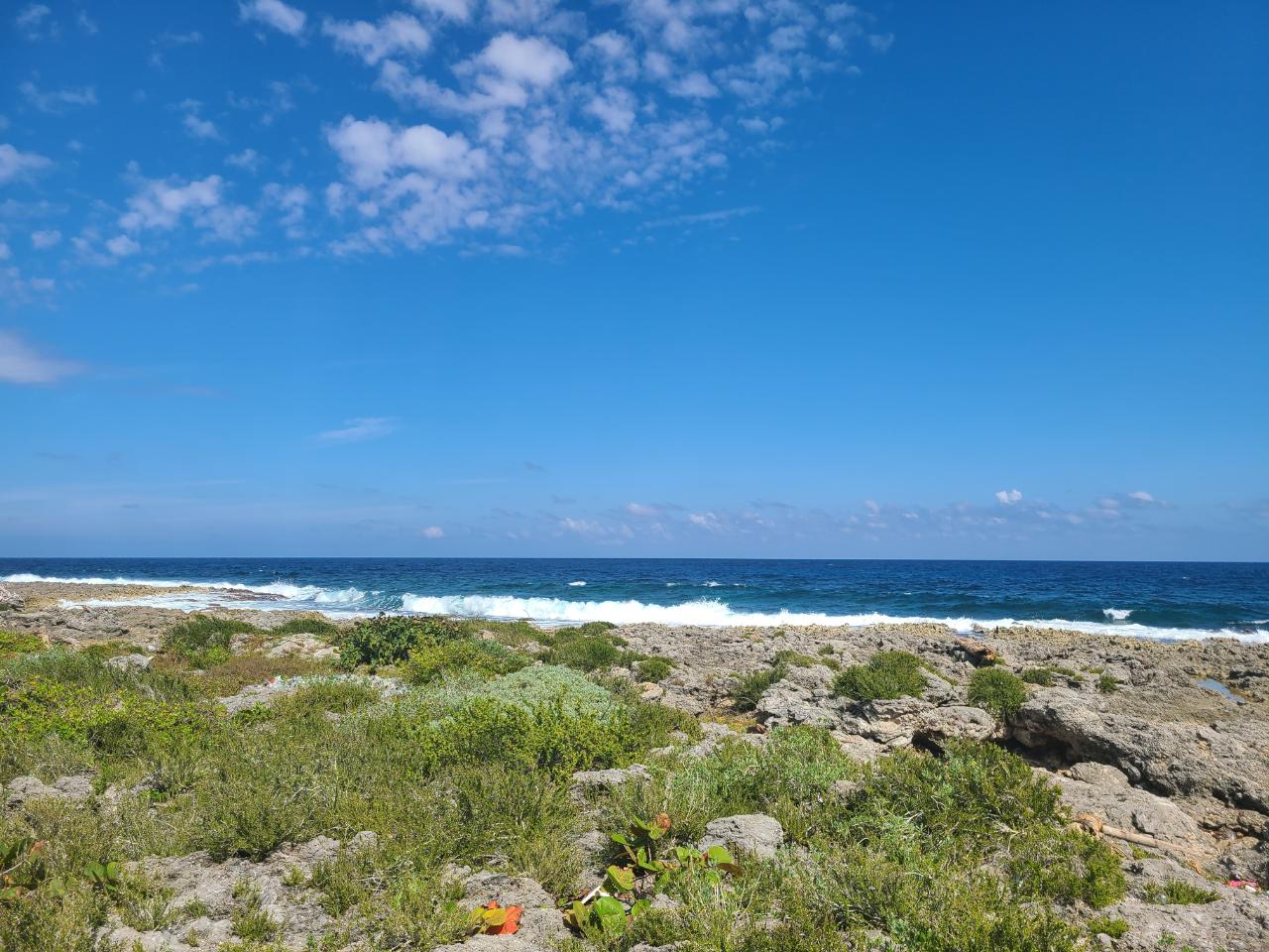 Fourth image of Lot 94 Belretiro, Galina in Galina, St. Mary, Jamaica - property is For Sale