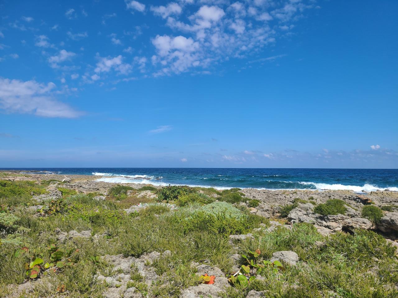 Fifth image of Lot 94 Belretiro, Galina in Galina, St. Mary, Jamaica - property is For Sale