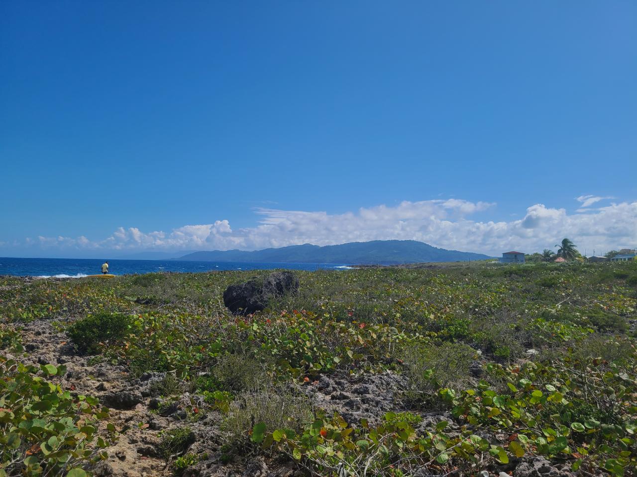 Eighth image of Lot 94 Belretiro, Galina in Galina, St. Mary, Jamaica - property is For Sale