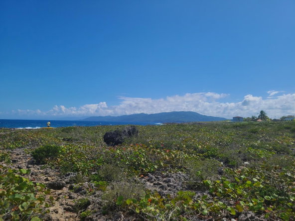 Eighth image of Lot 94 Belretiro, Galina in Galina, St. Mary, Jamaica - property is For Sale