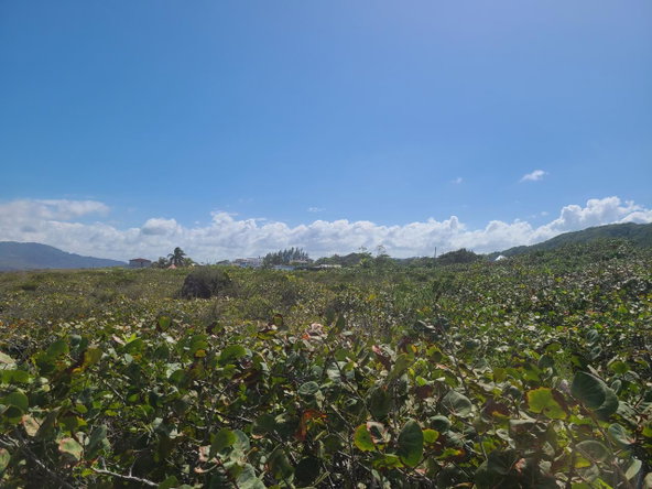 Ninth image of Lot 94 Belretiro, Galina in Galina, St. Mary, Jamaica - property is For Sale