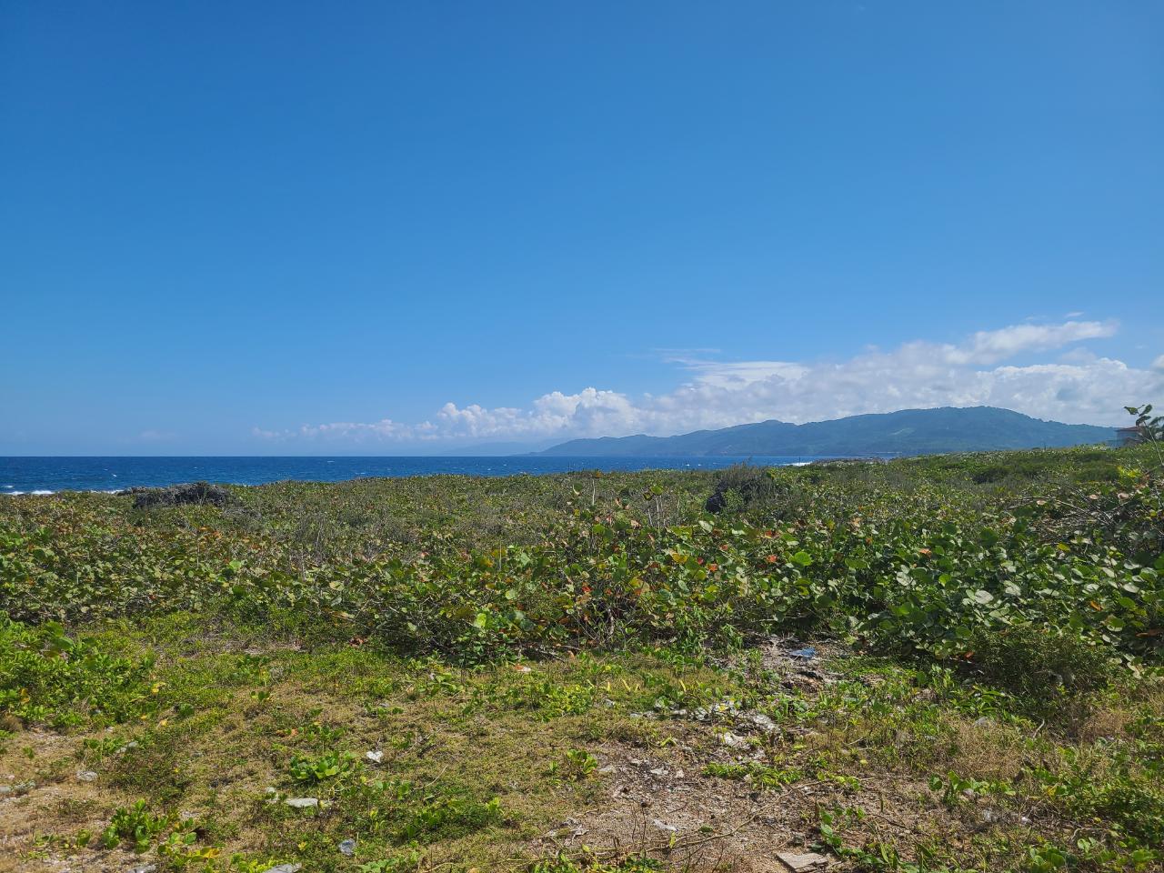 Tenth image of Lot 94 Belretiro, Galina in Galina, St. Mary, Jamaica - property is For Sale