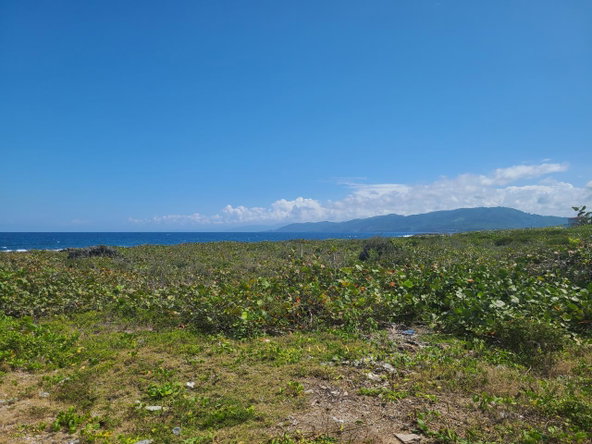 Tenth image of Lot 94 Belretiro, Galina in Galina, St. Mary, Jamaica - property is For Sale