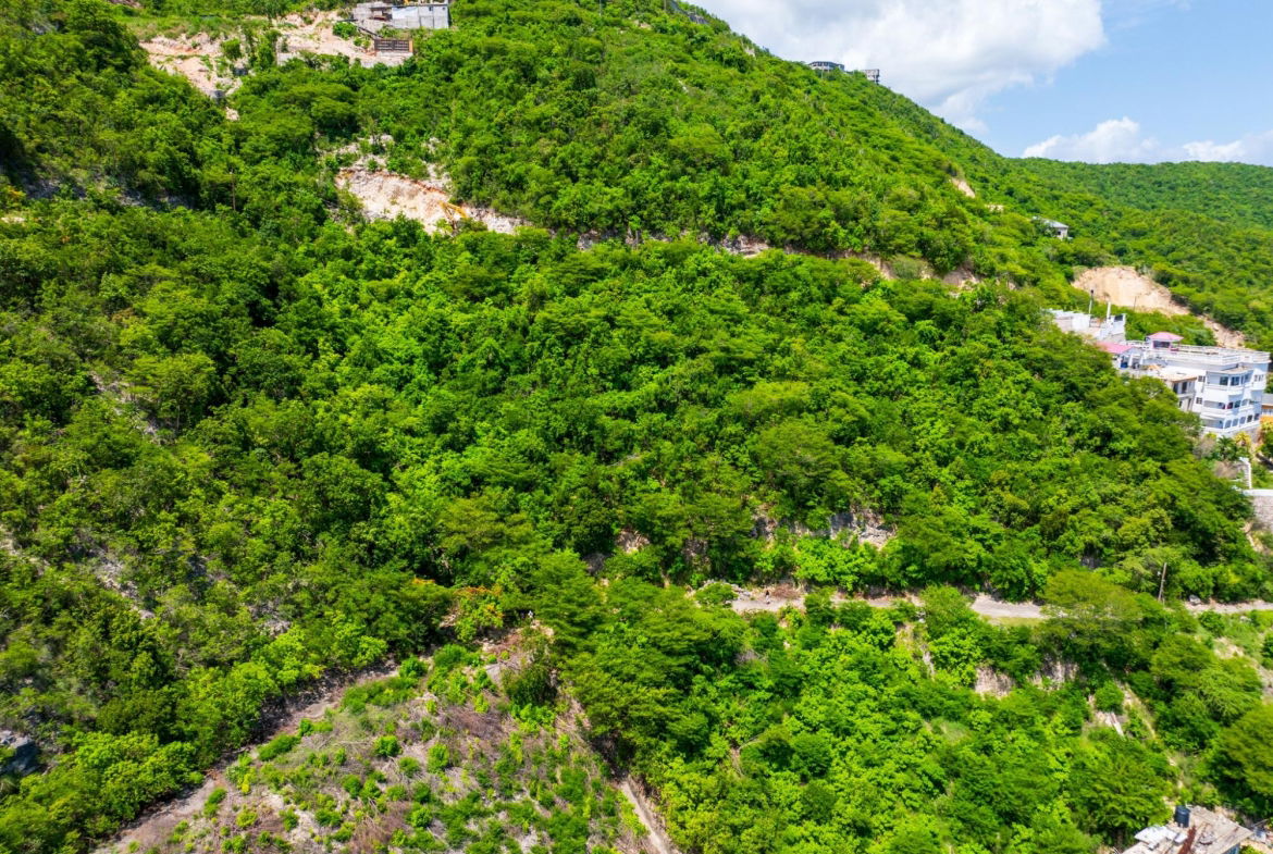 Sixth image of 85 Summit Drive, Rest Haven in BULL BAY, St. Andrew, Jamaica - property is For Sale