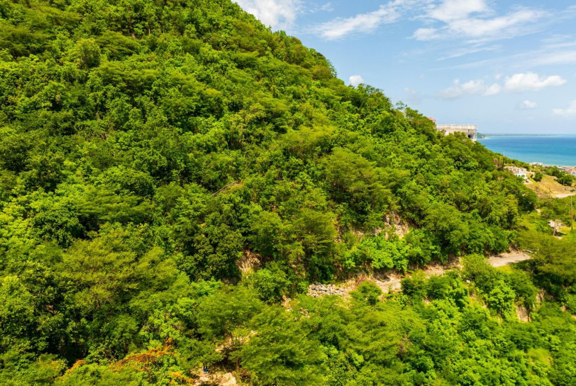 Ninth image of 85 Summit Drive, Rest Haven in BULL BAY, St. Andrew, Jamaica - property is For Sale