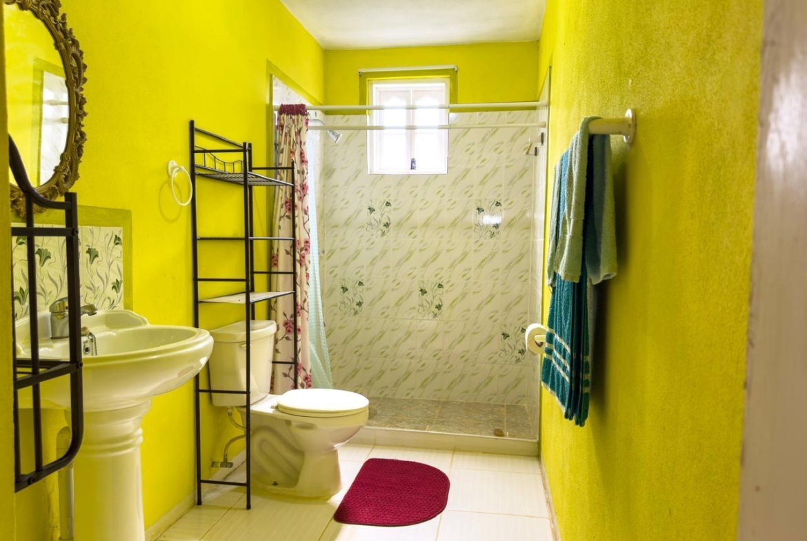 Twelfth image of 17 Friendship, Fairy Hill p. in Boston, Portland, Jamaica - property is For Sale