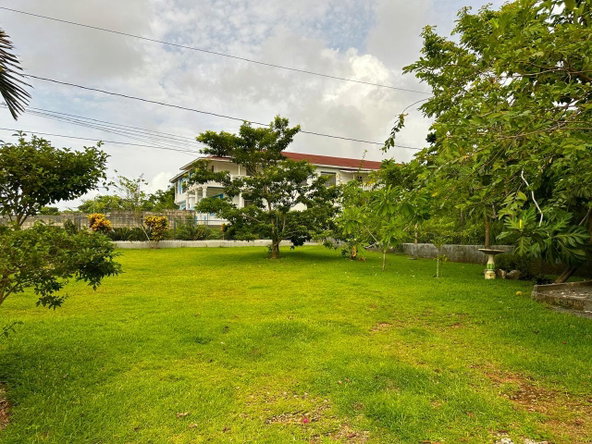 Sixteenth image of 17 Friendship, Fairy Hill p. in Boston, Portland, Jamaica - property is For Sale