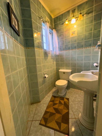 Seventh image of 17 Friendship, Fairy Hill p. in Boston, Portland, Jamaica - property is For Sale