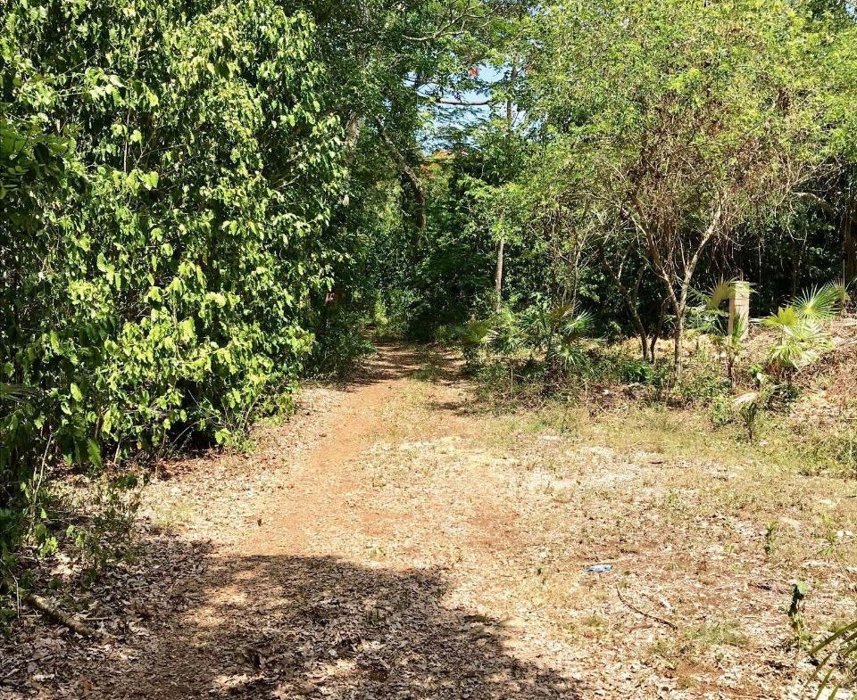 Second image of Hylton Avenue, Ironshore in Negril, Westmoreland, Jamaica - property is For Sale