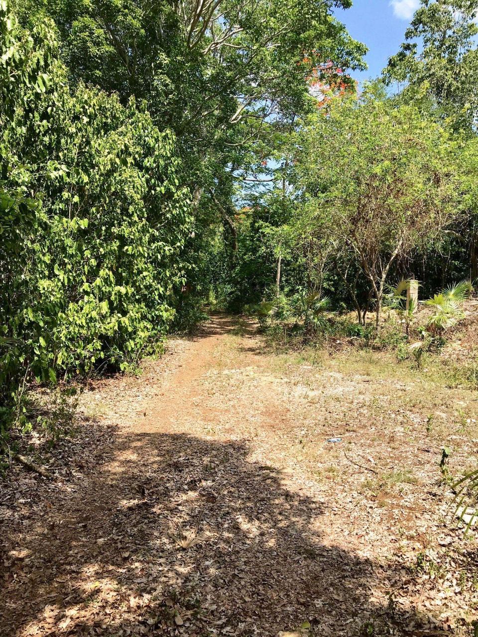 Stunning-Sea-View-Residential-Lot-for-Sale-in-Negril-Jamaica Second image of Hylton Avenue, Ironshore in Negril, Westmoreland, Jamaica - property is For Sale