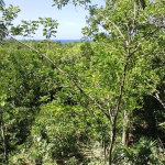 First image of Hylton Avenue, Ironshore in Negril, Westmoreland, Jamaica - property is For Sale