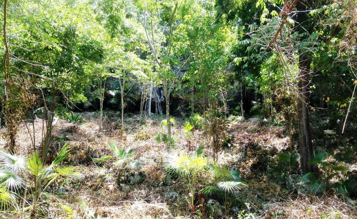 Third image of Hylton Avenue, Ironshore in Negril, Westmoreland, Jamaica - property is For Sale