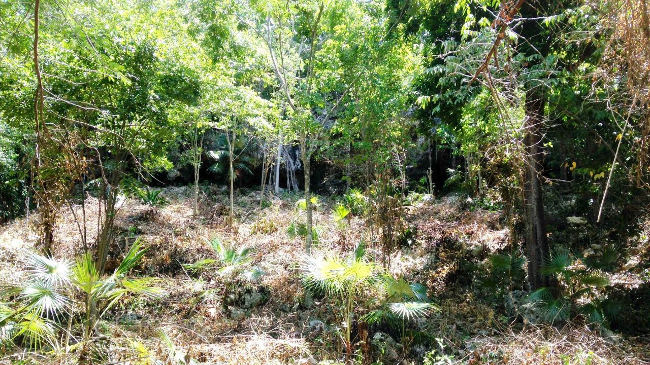 Stunning-Sea-View-Residential-Lot-for-Sale-in-Negril-Jamaica Third image of Hylton Avenue, Ironshore in Negril, Westmoreland, Jamaica - property is For Sale