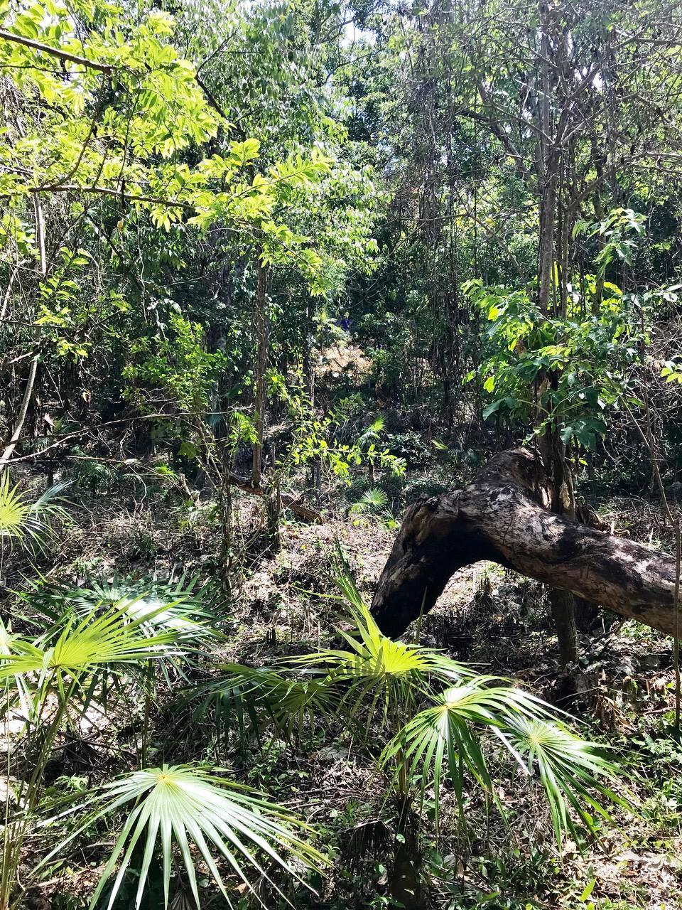 Stunning-Sea-View-Residential-Lot-for-Sale-in-Negril-Jamaica Fourth image of Hylton Avenue, Ironshore in Negril, Westmoreland, Jamaica - property is For Sale