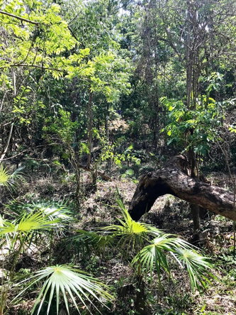 Fourth image of Hylton Avenue, Ironshore in Negril, Westmoreland, Jamaica - property is For Sale