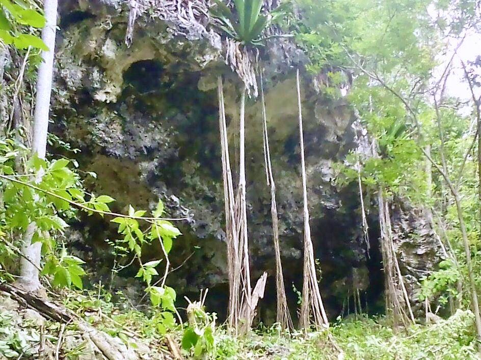 Fifth image of Hylton Avenue, Ironshore in Negril, Westmoreland, Jamaica - property is For Sale