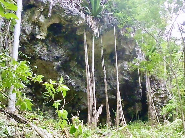 Fifth image of Hylton Avenue, Ironshore in Negril, Westmoreland, Jamaica - property is For Sale