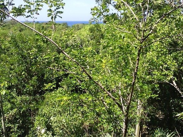 First image of Hylton Avenue, Ironshore in Negril, Westmoreland, Jamaica - property is For Sale