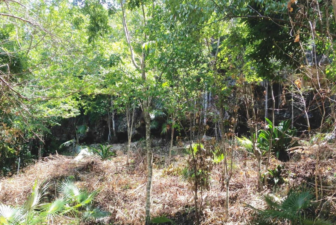 Seventh image of Hylton Avenue, Ironshore in Negril, Westmoreland, Jamaica - property is For Sale