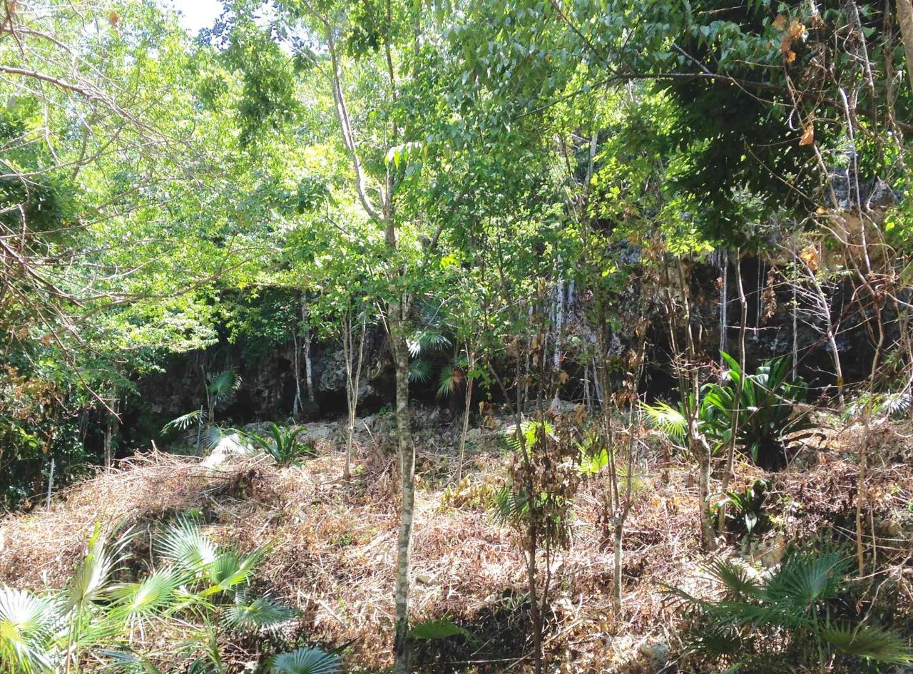 Stunning-Sea-View-Residential-Lot-for-Sale-in-Negril-Jamaica Seventh image of Hylton Avenue, Ironshore in Negril, Westmoreland, Jamaica - property is For Sale