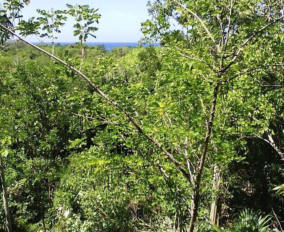 First image of Hylton Avenue, Ironshore in Negril, Westmoreland, Jamaica - property is For Sale