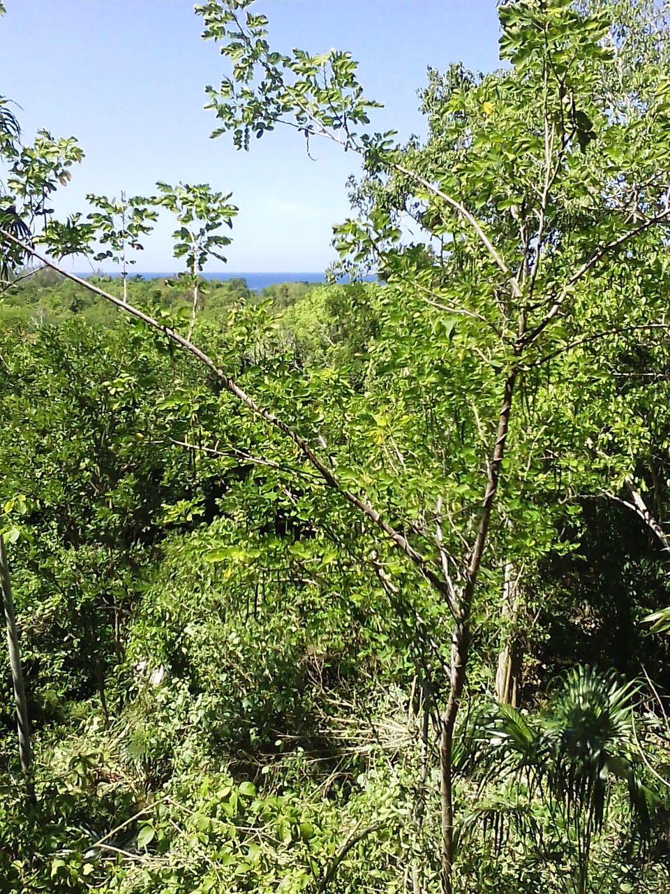 Stunning-Sea-View-Residential-Lot-for-Sale-in-Negril-Jamaica First image of Hylton Avenue, Ironshore in Negril, Westmoreland, Jamaica - property is For Sale