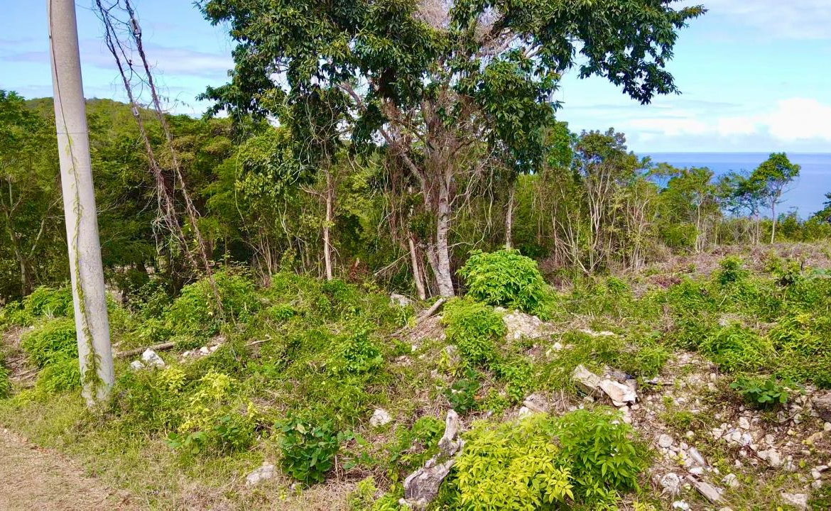 Third image of Spring Garden | Lombardia in Spring Garden, St. James, Jamaica - property is For Sale