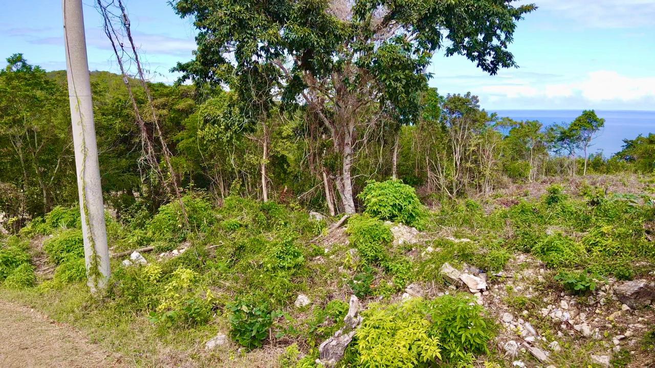 Stunning-Seaview-Lot-for-Sale-in-Spring-Garden-Montego-Bay Third image of Spring Garden | Lombardia in Spring Garden, St. James, Jamaica - property is For Sale