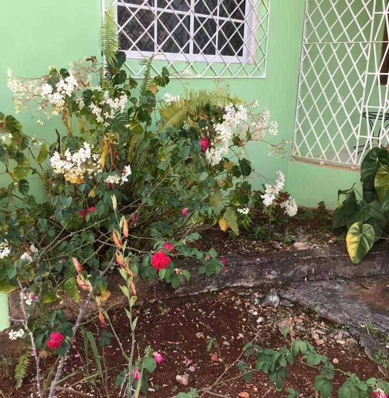 Second image of 33 Kristian Circle in Mandeville, Manchester, Jamaica - property is For Sale